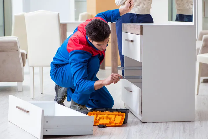 Professional Handyman Services